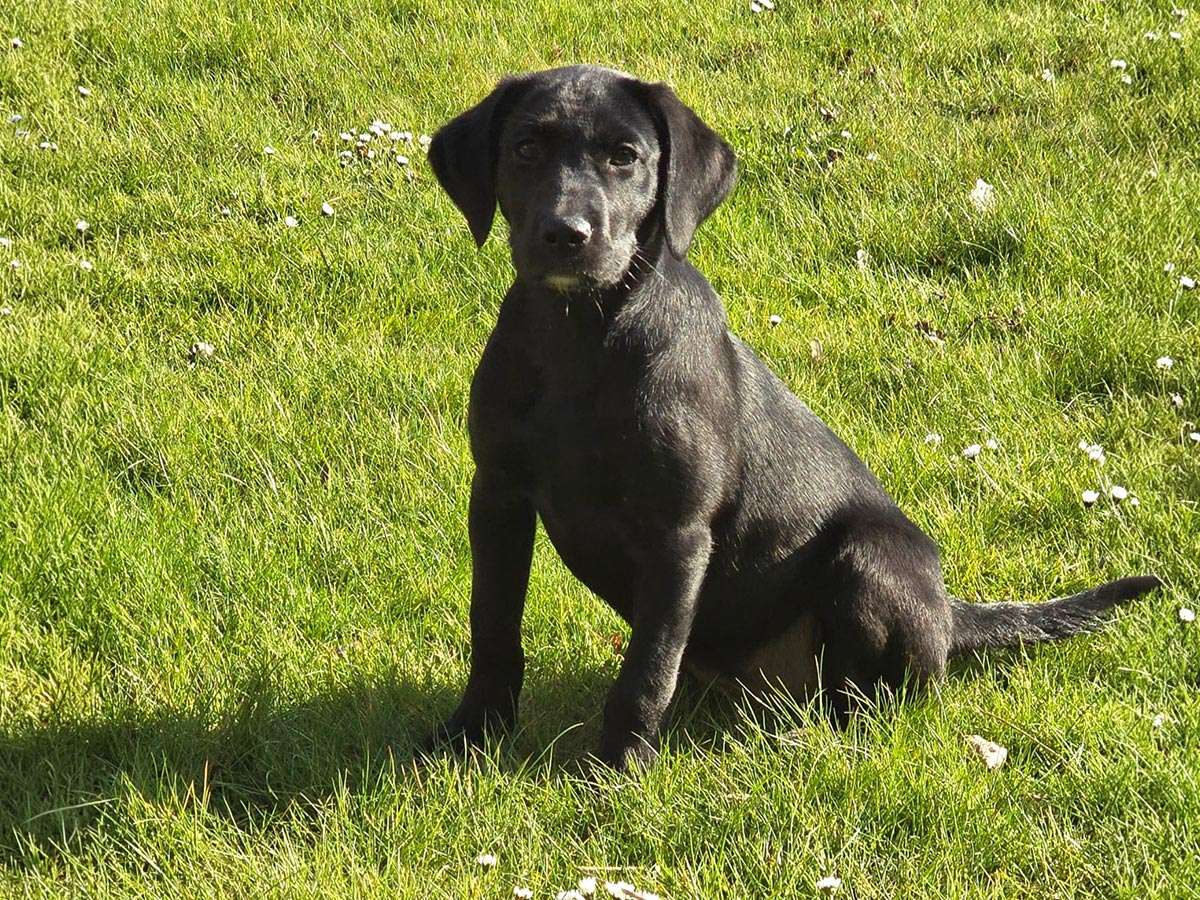 Team Workers Jade Wilma